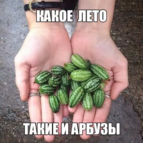 Смешная картинка №192916