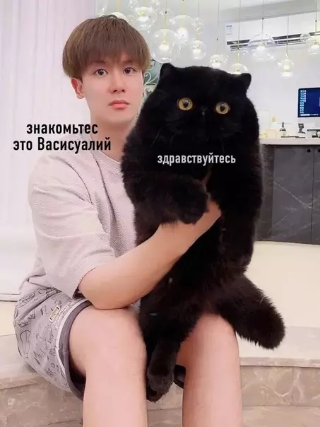 Смешная картинка №588558 Когда не знаешь, о чём говорить с гостями, и просто показываешь им кота коты