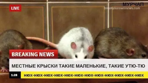 Смешная картинка №299581 Новости, которые мы заслужили.