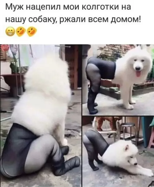Смешная картинка №414234