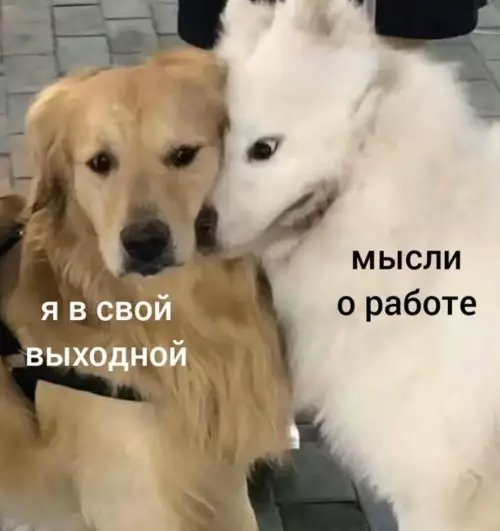 Смешная картинка №793008