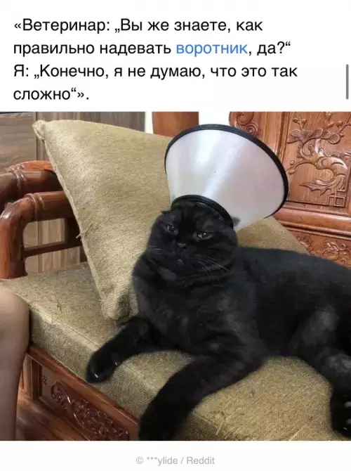 Смешная картинка №661678