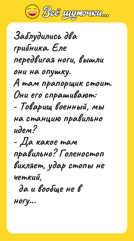 Заблудились два грибника. Еле передвигая ноги, вышли они на опушку.