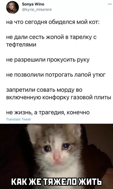 Смешная картинка №570171