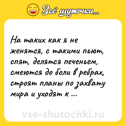 Шутка: На таких как я не женятся, с такими пьют, спят, делятся печеньем, смеются до боли в ребрах, строят планы по захвату мира и уходят к другим.