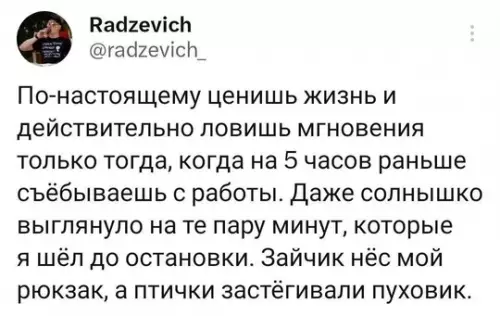 Смешная картинка №736262