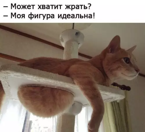 Смешная картинка №254950
