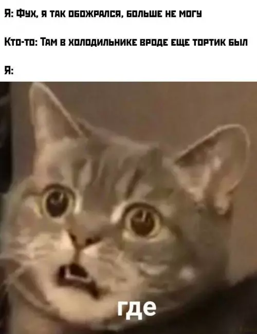 Смешная картинка №781565