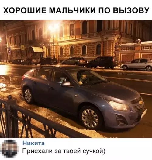 Смешная картинка №336705 собаки