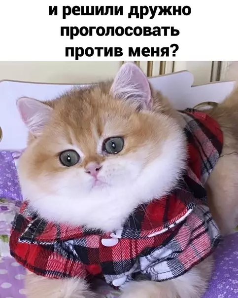 продолжение Смешная картинка №566394 Гoлocoвaниe