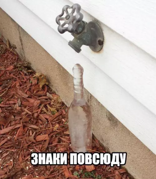 Смешная картинка №263468