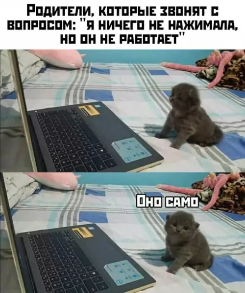 Смешная картинка №421933