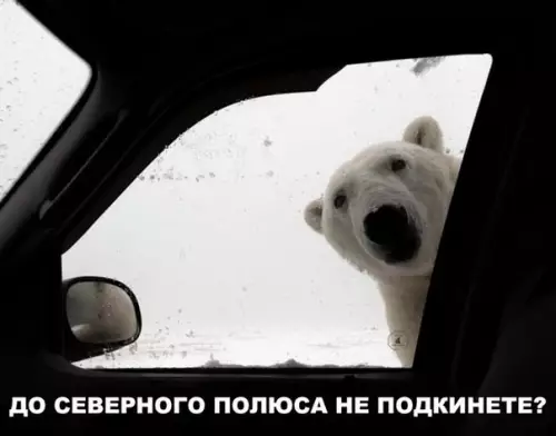 Смешная картинка №226702
