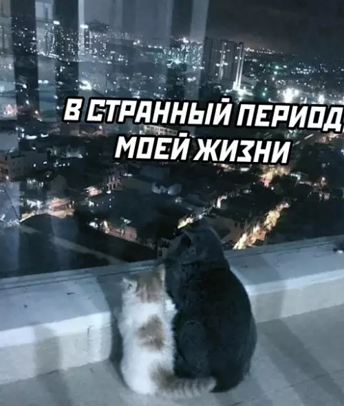 продолжение Смешная картинка №580696