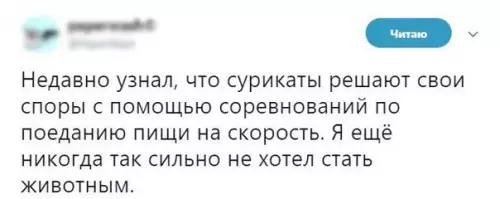 Смешная картинка №253378