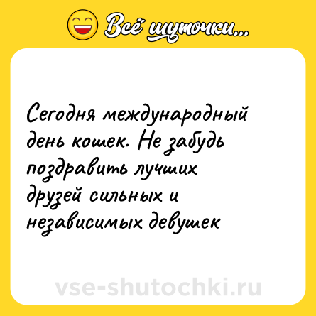 Шутка: Сегодня международный день кошек. Не забудь поздравить лучших друзей сильных и независимых девушек
