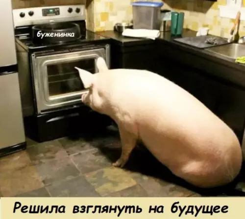 Смешная картинка №331938 На очереди...