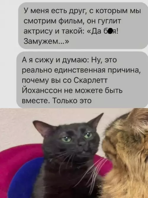 Скарлетт Йоханссон и судьба твоего кента 🙀 - У меня есть друг, с которым мы смотрим фильм, он