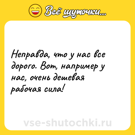 Шутка: Неправда, что у нас все дорого. Вот, например у нас, очень дешевая рабочая сила!