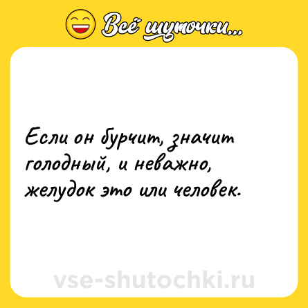 Шутка: Если он бурчит, значит голодный, и неважно, желудок это или человек.