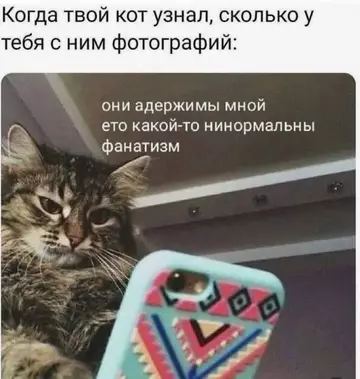 Смешная картинка №766417