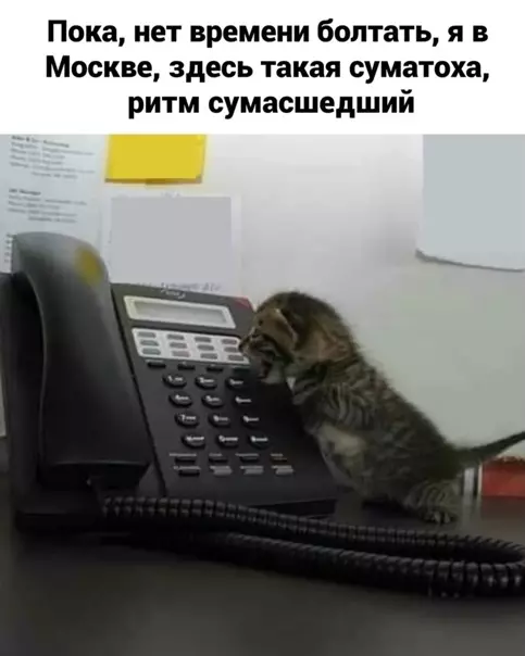 Смешная картинка №554158 Mocквa-тo вeдь, пoнимaeшь