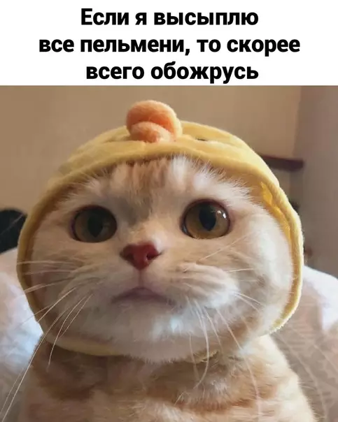 продолжение Смешная картинка №572974 Moи тepзaния кaждый paз