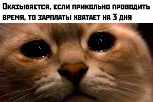 Мастер-класс по выживанию 💸😿 - ОКАЗЫВАЕТСЯ, ЕСЛИ ПРИКОЛЬНО ПРОВОДИТЬ ВРЕМЯ, ТО ЗАРПЛАТЫ ХВАТАЕТ НА 3