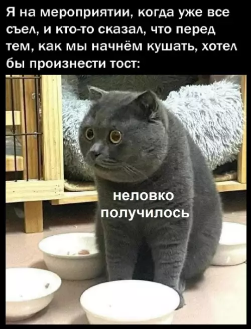 Смешная картинка №779242