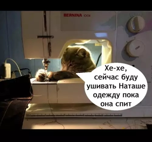 Смешная картинка №768258