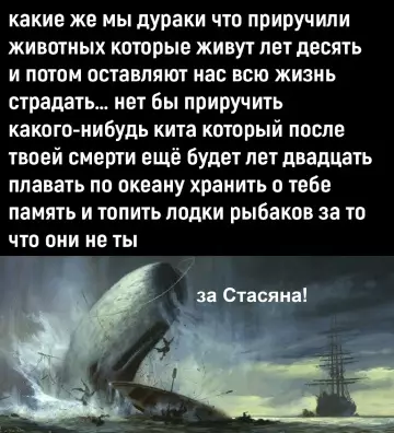 Смешная картинка №779069