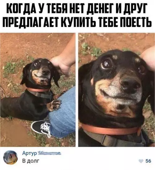 Смешная картинка №218905