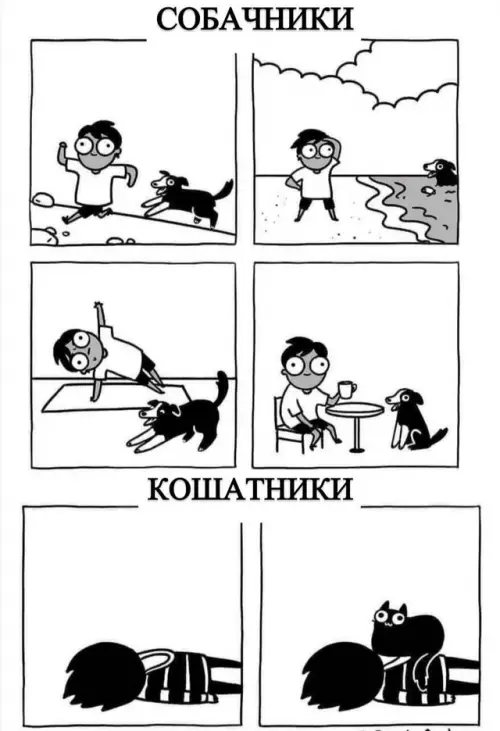 Смешная картинка №735729