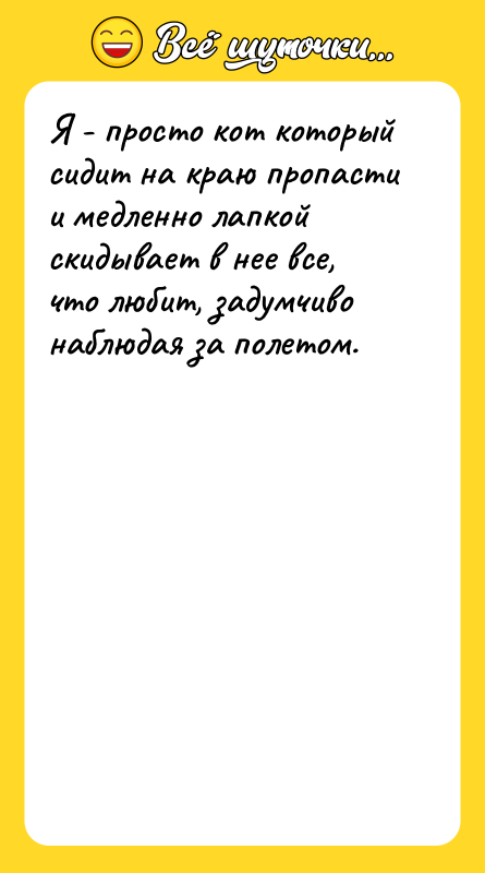 Я - просто кот который сидит на краю пропасти и