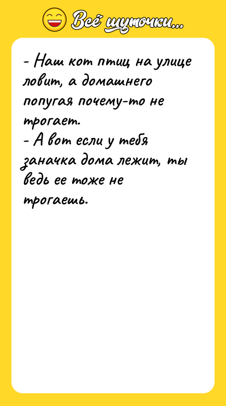 - Наш кот птиц на улице ловит, а домашнего попугая