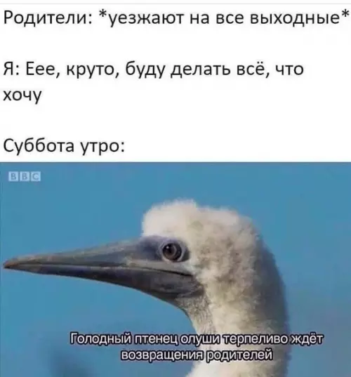 Смешная картинка №444466 лучше описания не найти