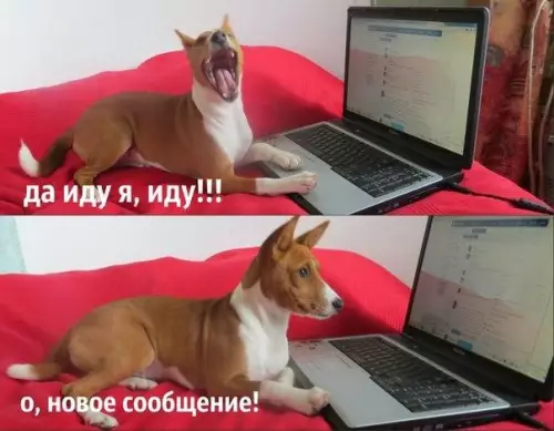 Смешная картинка №295340