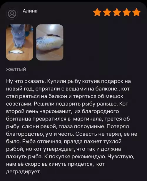 Смешная картинка №706848 Коты, отзывы 