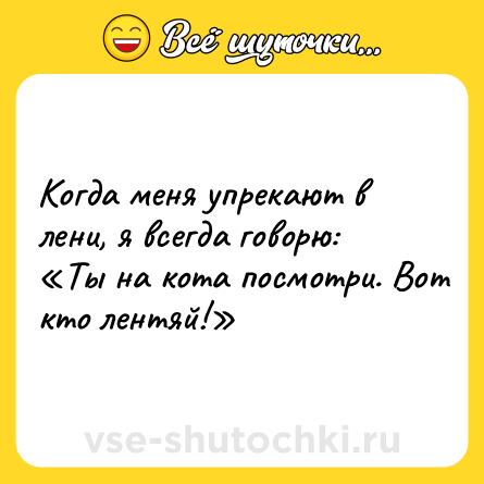 Шутка: Когда меня упрекают в лени, я всегда говорю: «Ты на кота посмотри. Вот кто лентяй!»