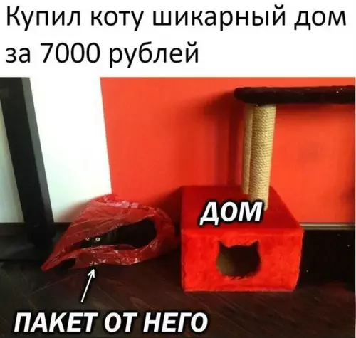 Смешная картинка №257616