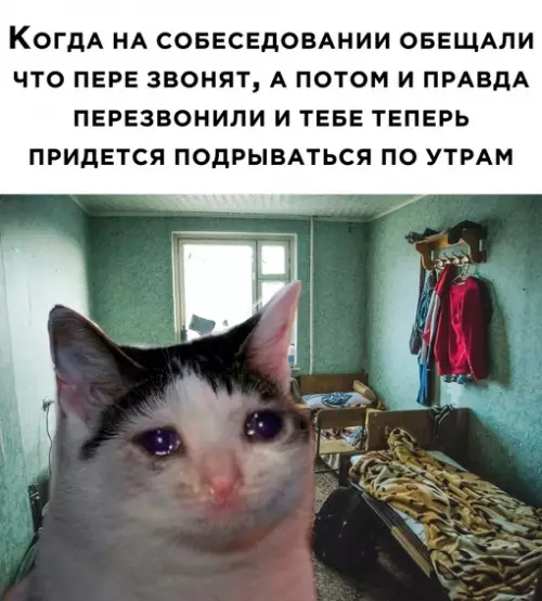 Смешная картинка №684938