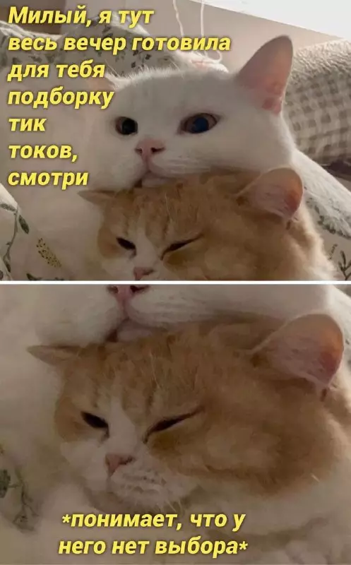 Смешная картинка №663890