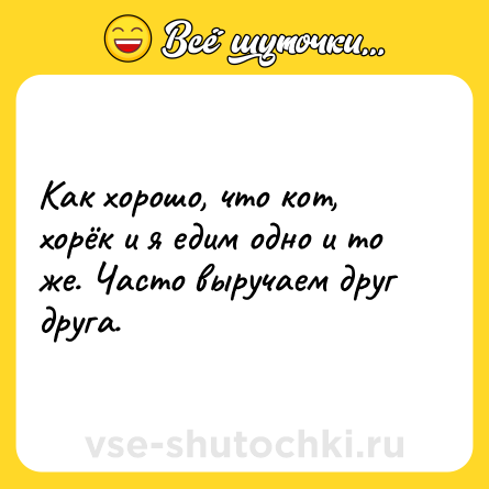Шутка: Как хорошо, что кот, хорёк и я едим одно и то же. Часто выручаем друг друга.
