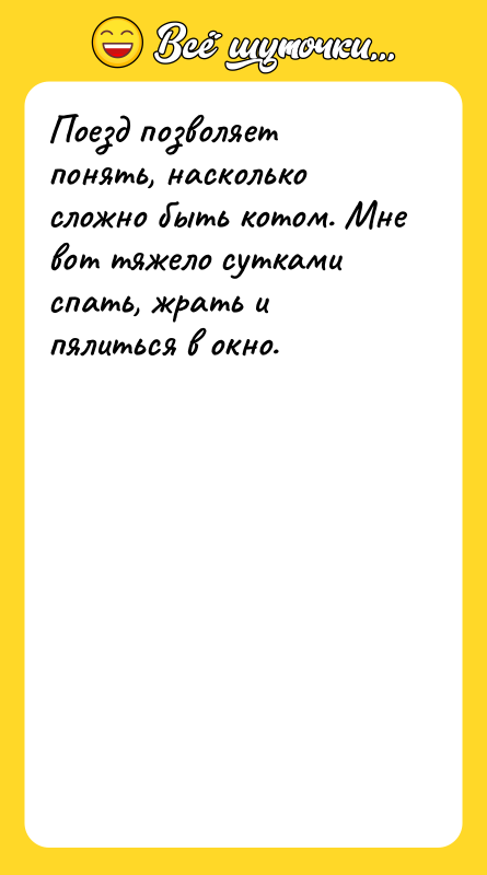 Поезд позволяет понять, насколько сложно быть котом. Мне вот тяжело