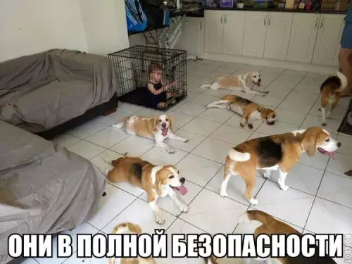Смешная картинка №282922
