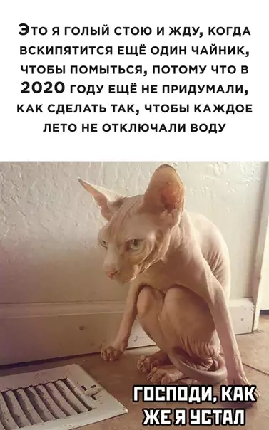 Смешная картинка №505490