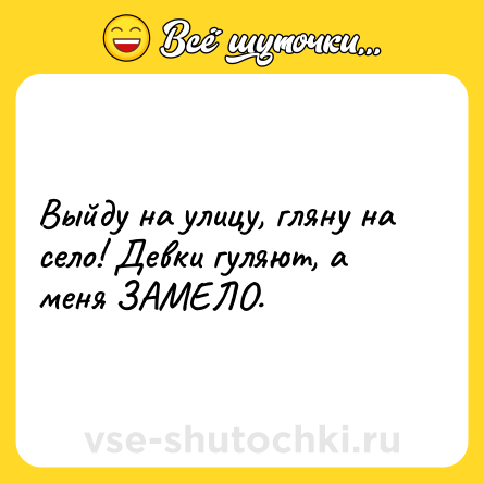 Шутка: Выйду на улицу, гляну на село! Девки гуляют, а меня ЗАМЕЛО.
