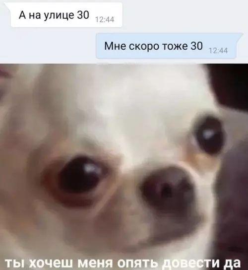 Смешная картинка №365029