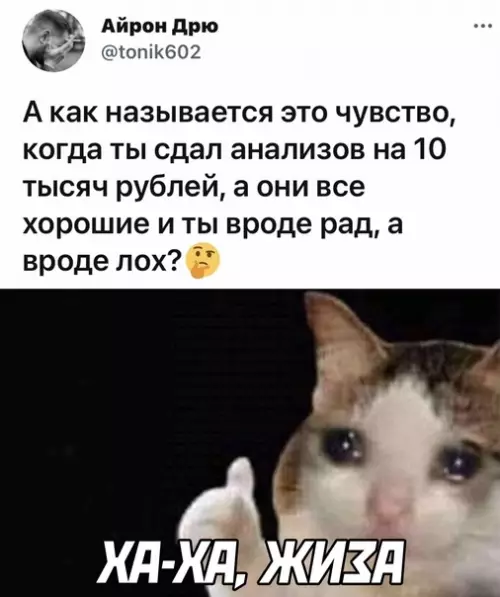 Смешная картинка №584630