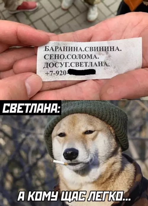 Смешная картинка №659658